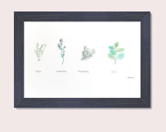 Medicine Garden Plants