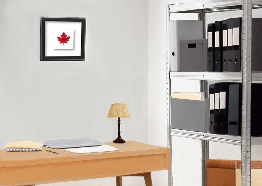 Autumn Canada Maple Leaf