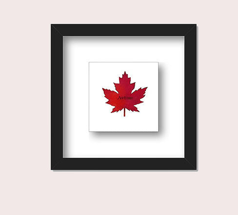 Autumn Canada Maple Leaf