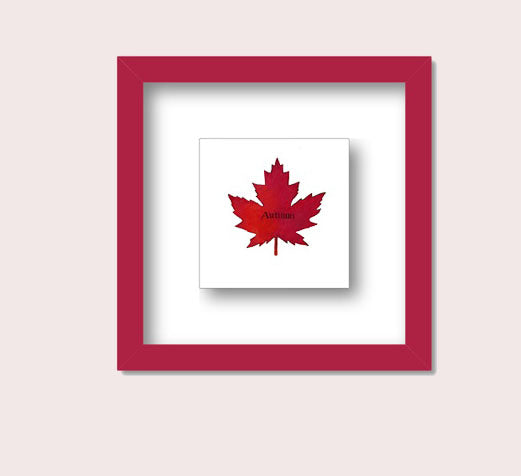 Autumn Canada Maple Leaf