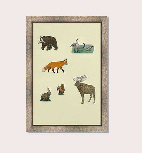 Autumn Canada Woodland Forest Animals Motif
