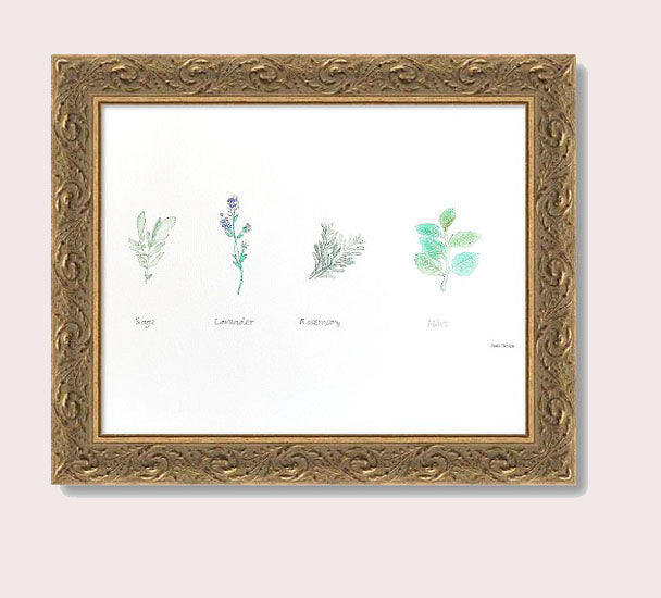 Medicine Garden Plants