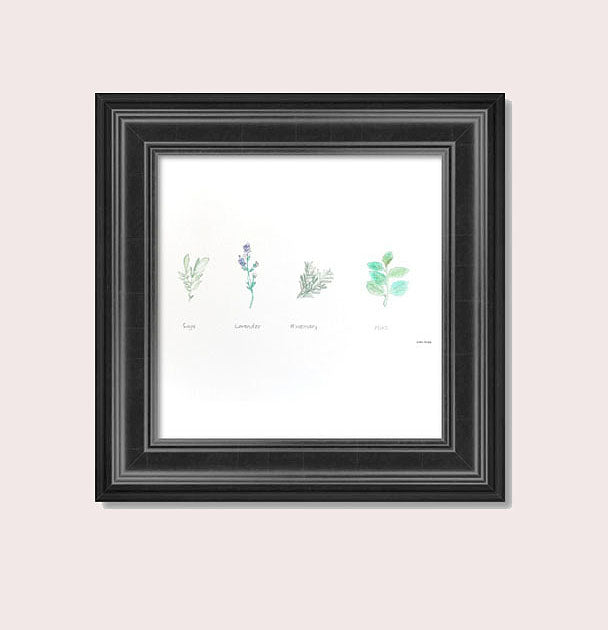 Medicine Garden Plants