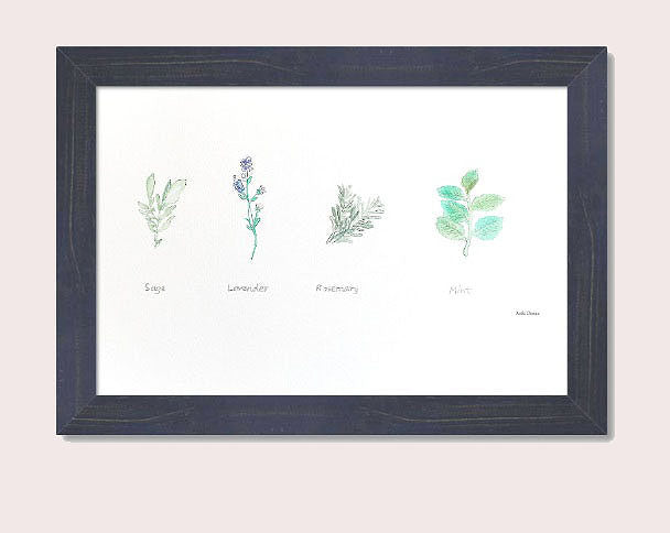 Medicine Garden Plants