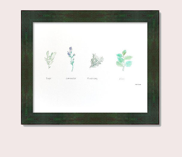 Medicine Garden Plants