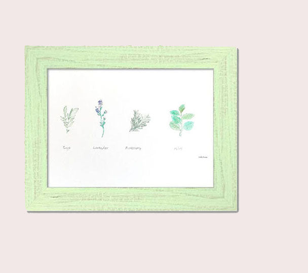 Medicine Garden Plants