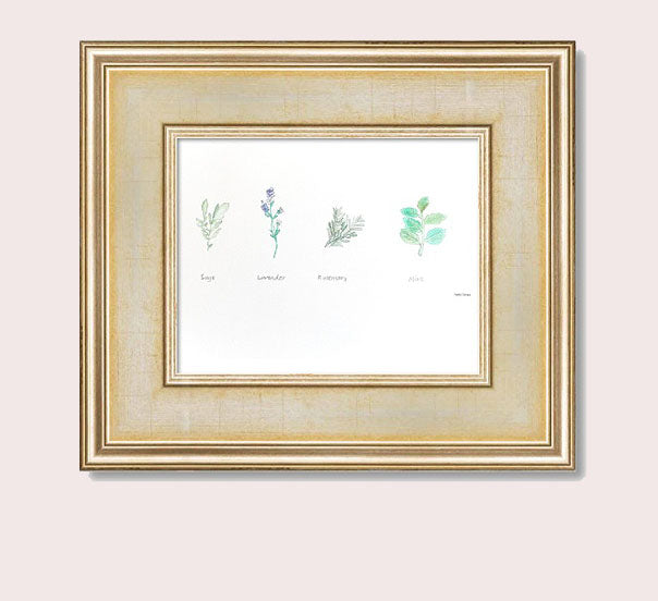 Medicine Garden Plants