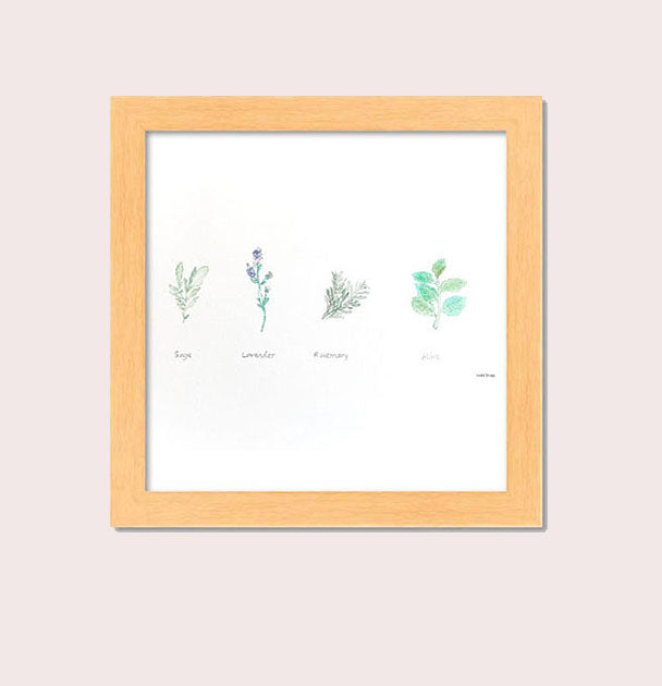 Medicine Garden Plants